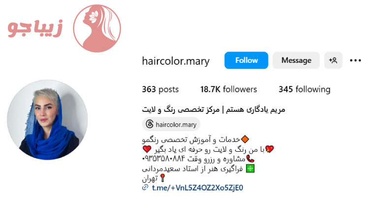 رنگ و مش مو در سالن مریم یادگاری